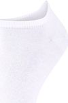 Product / Detail