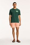Shiwi T-Shirt Sardines Cilantro Green Model / Voorkant