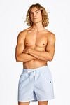 Tommy Hilfiger Zwembroek Streep Lichtblauw Model / Detail