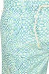 Scotch & Soda Zwembroek Groen Product / Detail