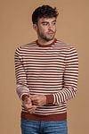 Suitable Pull Col Rond Rayures Marron Model / Voorkant avec Bram