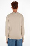 Tommy Hilfiger Trui Beige Mouliné Model / Achterkant