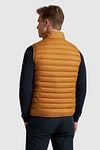 Vanguard Bodywarmer Densylon Orange Model / Achterkant