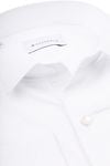 Rok Shirt Wit Moldau Product / Detail