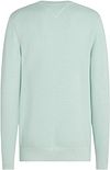 Tommy Hilfiger Structure Trui Mint Green Product / Achterkant