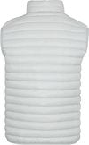 Save The Duck Bodywarmer Adam Light Grey Product / Achterkant