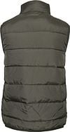 Suitable Bodywarmer Mountain Dunkelgrün Product / Achterkant