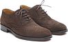 Steppin' Out Brighton Brogue Shoes Brown Product / Detail