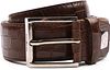 Giorgio Belt Nairobi Brown HEA1023/40-564 order online | Suitable