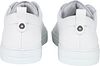 Giorgio Sneaker Adanti Rodi Wit Product / Achterkant