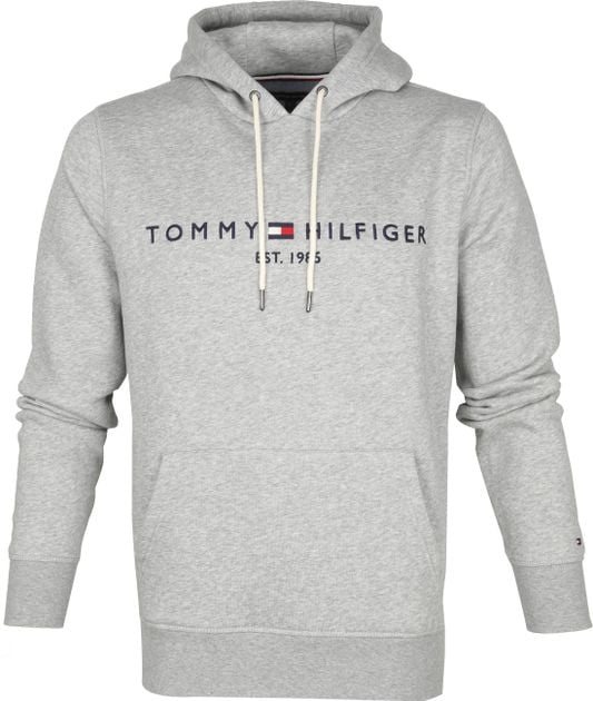 Tommy Hilfiger Hoodie Core Grey MW0MW10752-501 order online | Suitable
