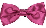 Suitable Satin Bow Tie Eggplant Red