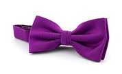 Bow Tie Silk Aubergine F28