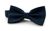 Silk Bow Tie Navy F35