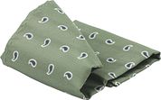 Suitable Silk Necktie Paisley Green