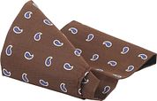 Suitable Silk Necktie Paisley Brown