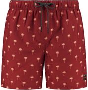 Shiwi Swimshorts Palm Trees Red
