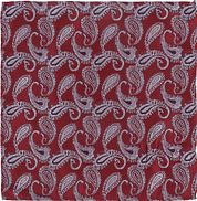 Suitable Necktie Paisley Red