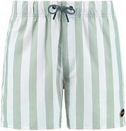 Shiwi Swimshorts Mac Light Green