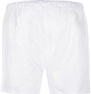 Steppin' Out Boxershort Poplin White