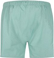Steppin' Out Boxershort Checks Green