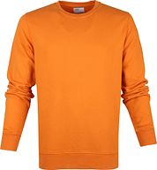 Colorful Standard Sweater Organic Orange