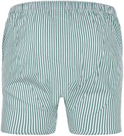 Steppin' Out Boxershort Stripe Poplin Green