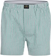 Steppin' Out Boxershort Stripe Poplin Green
