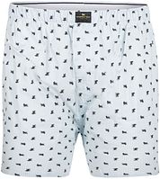 Steppin' Out Boxershort Poplin Print Light Blue