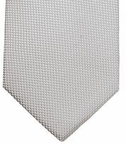 Suitable Silk Tie Silver