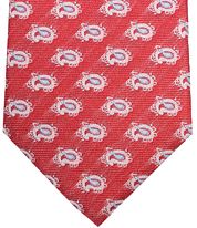 Suitable Tie Silk Paisley Red