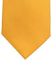 Suitable Silk Tie Gold