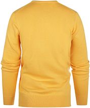Steppin' Out Pullover Cashmere V-Neck Yellow
