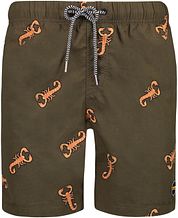 Shiwi Swimshorts Scorpion Dark Green