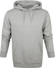 Colorful Standard Hoodie Grey