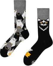 Many Mornings Socks Black Cat