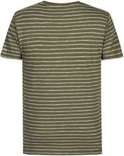Petrol T Shirt Striped Green
