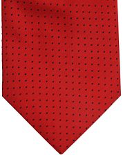 Suitable Silk Tie Dots Red