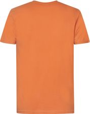 Petrol T-Shirt Palmetto Orange