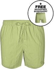 Muchachomalo Solid Swimshort Green