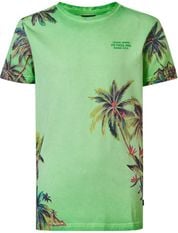Petrol T-Shirt Botanical Palmboom Groen