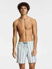 Shiwi Swimshorts Mac Light Green