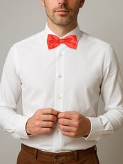 Suitable Satin Bow Tie Red