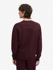 Colorful Standard Sweater Organic Bordeaux