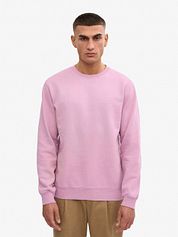 Colorful Standard Sweater Purple