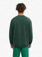 Colorful Standard Sweater Organic Green