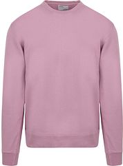Colorful Standard Sweater Purple