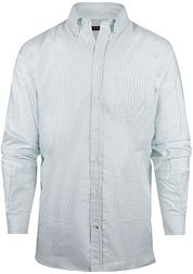 Steppin' Out Shirt Oxford Stripes Green