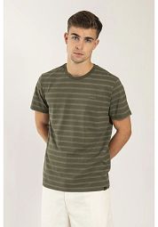 ANTWRP T-Shirt Stripes Green
