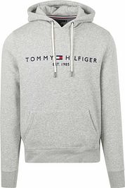 Tommy Hilfiger Hoodie Core Grey